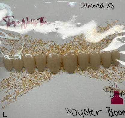 Oyster Bloom